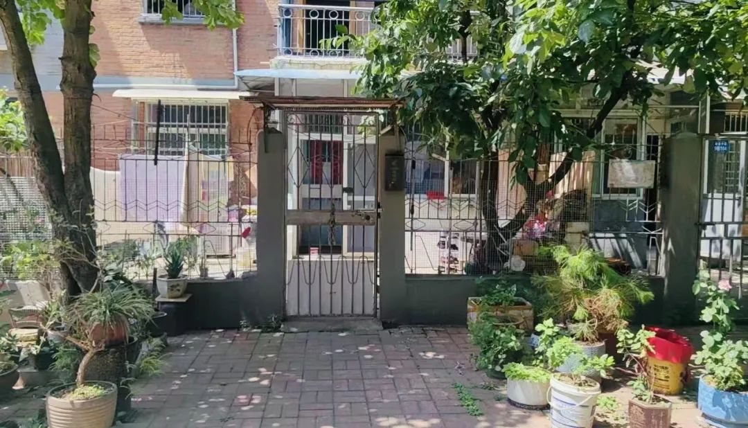 Bất chấp lời can ngăn, t&ocirc;i mua căn hộ tầng 1 cũ kỹ kh&ocirc;ng ai muốn: Sau 1 năm sống, t&ocirc;i hiểu v&igrave; sao n&oacute; bị ch&ecirc;- Ảnh 1.