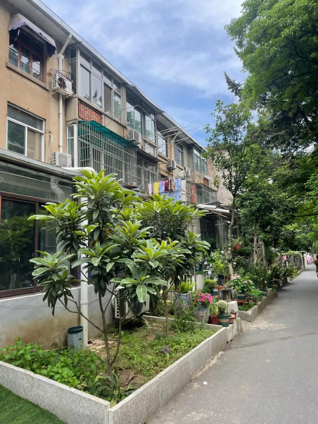 Bất chấp lời can ngăn, t&ocirc;i mua căn hộ tầng 1 cũ kỹ kh&ocirc;ng ai muốn: Sau 1 năm sống, t&ocirc;i hiểu v&igrave; sao n&oacute; bị ch&ecirc;- Ảnh 5.