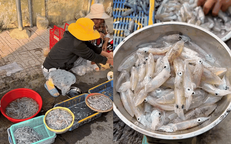 Ở v&ugrave;ng biển n&agrave;y, người d&acirc;n c&oacute; m&oacute;n ăn s&aacute;ng "ruột" tươi nhảy tanh t&aacute;ch: Kh&aacute;ch du lịch dậy từ 5h s&aacute;ng để tranh nhau mua bằng được- Ảnh 2.