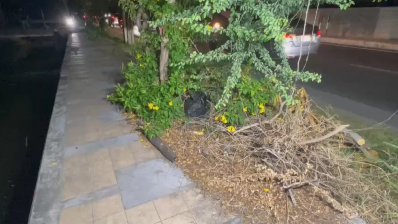 Nam thanh niên sát hại người yêu, phi tang dọc bờ kênh Thái Lan: Thái độ bình thản gây chú ý- Ảnh 2. Nam thanh niên sát hại người yêu, phi tang dọc bờ kênh Thái Lan: Thái độ bình thản gây chú ý- Ảnh 2.