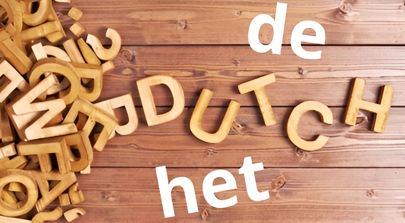 Ng&ocirc;n ngữ l&agrave; tấm v&eacute; th&ocirc;ng h&agrave;nh thẳng đến nền gi&aacute;o dục h&agrave;ng đầu thế giới nhưng rất &iacute;t người Việt để &yacute;- Ảnh 4.