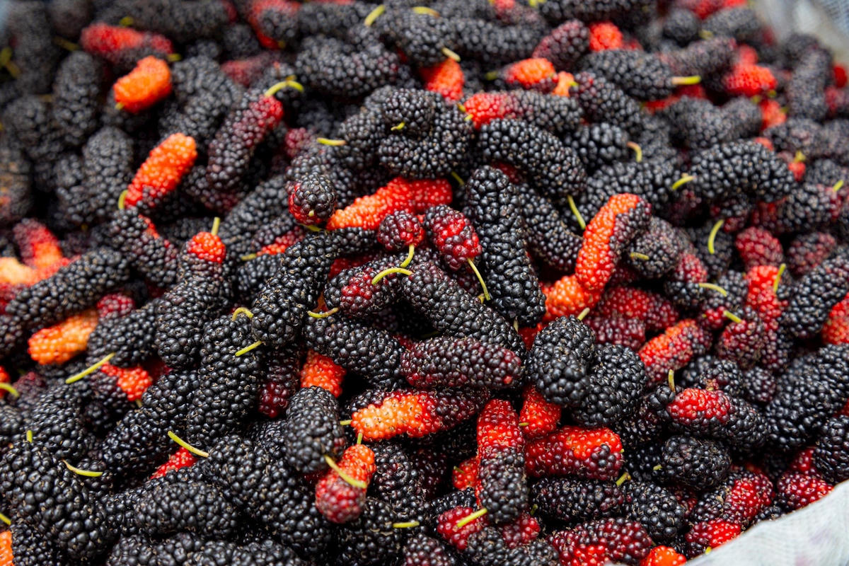 Đừng chỉ ăn quả, l&aacute; c&acirc;y n&agrave;y qu&yacute; như "nh&acirc;n s&acirc;m của người ngh&egrave;o", đang v&agrave;o m&ugrave;a đi chợ l&agrave; thấy- Ảnh 3.