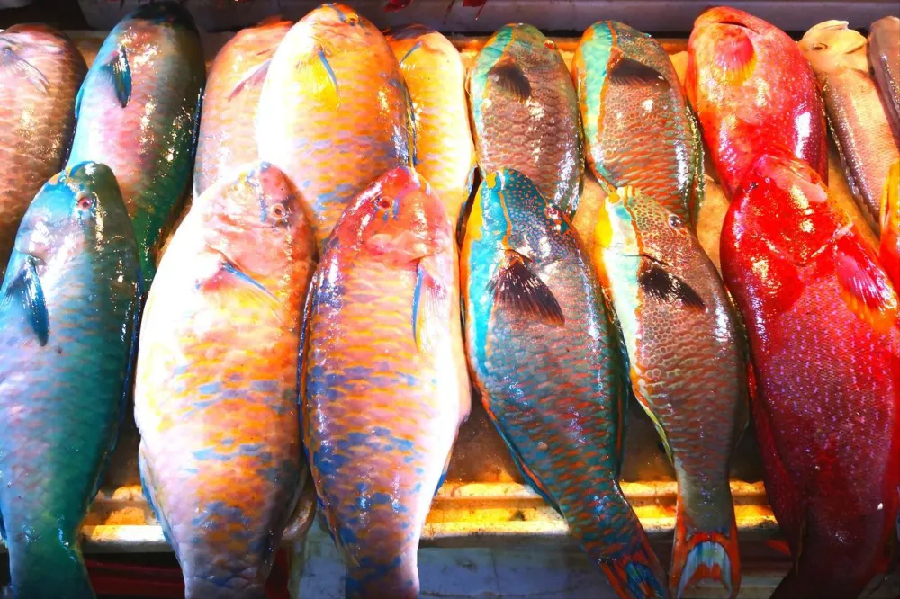 5 loại c&aacute; tưởng rẻ m&agrave; tiềm ẩn formaldehyde v&agrave; kim loại nặng, ăn nhiều c&oacute; thể hại gan thận- Ảnh 4.