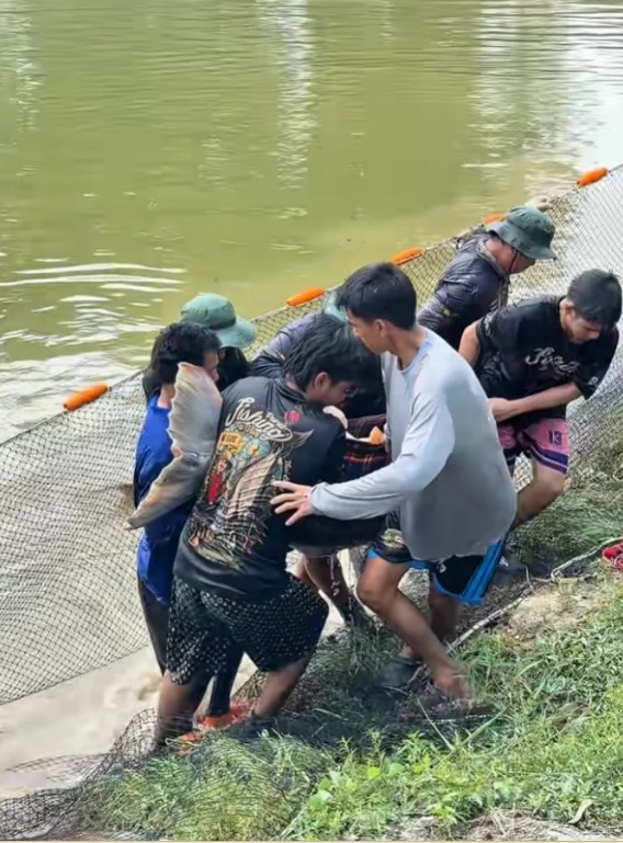 Ph&aacute;t hiện "qu&aacute;i vật" dưới s&ocirc;ng, chục người khi&ecirc;ng mới nổi: D&acirc;n l&agrave;ng phối hợp v&acirc;y bắt, cảnh tượng g&acirc;y sốc- Ảnh 3.