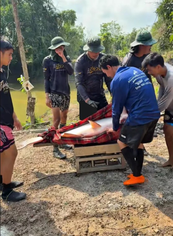 Ph&aacute;t hiện "qu&aacute;i vật" dưới s&ocirc;ng, chục người khi&ecirc;ng mới nổi: D&acirc;n l&agrave;ng phối hợp v&acirc;y bắt, cảnh tượng g&acirc;y sốc- Ảnh 1.