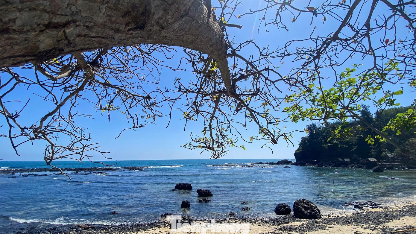 Tọa độ 'săn view' cực chill ở trạm đ&egrave;n biển Ba L&agrave;ng An- Ảnh 5.