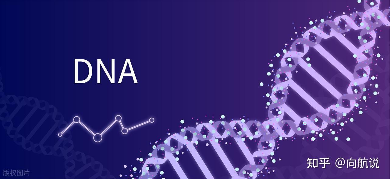 Con người c&oacute; thể bất tử hay kh&ocirc;ng khi khoa học tiến s&aacute;t giới hạn tuổi thọ v&agrave; đối mặt quy luật tự nhi&ecirc;n khắc nghiệt- Ảnh 3.