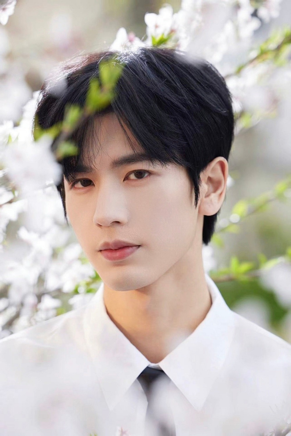 Chuyện t&igrave;nh cảm rắc rối của Trương Lăng H&aacute;ch - 