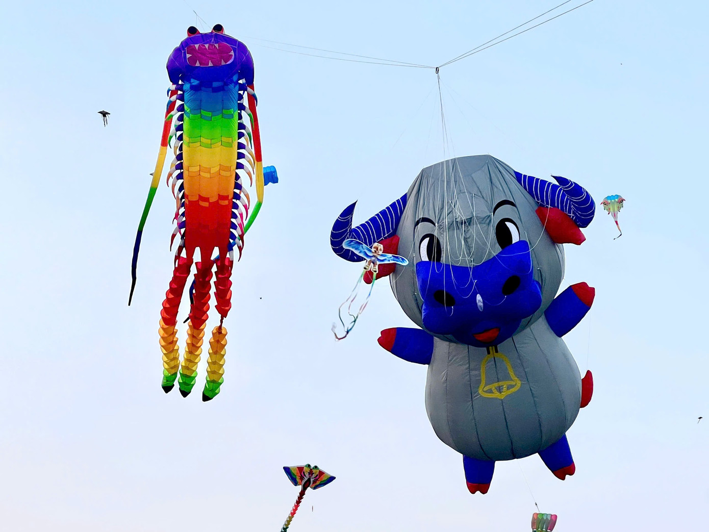 C&aacute;nh đồng diều Thủ Thi&ecirc;m v&agrave;o m&ugrave;a 'h&uacute;t' giới trẻ- Ảnh 5.