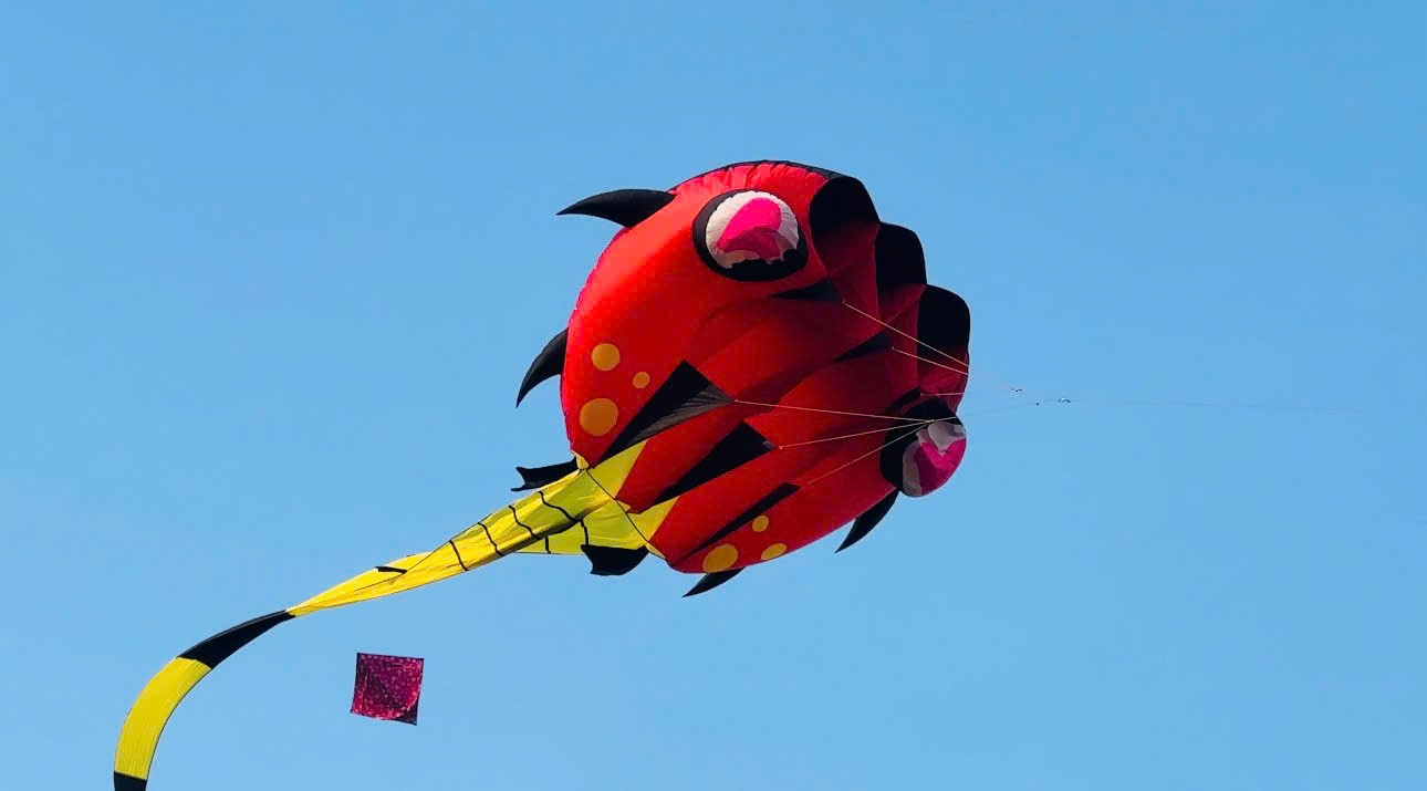 C&aacute;nh đồng diều Thủ Thi&ecirc;m v&agrave;o m&ugrave;a 'h&uacute;t' giới trẻ- Ảnh 9.