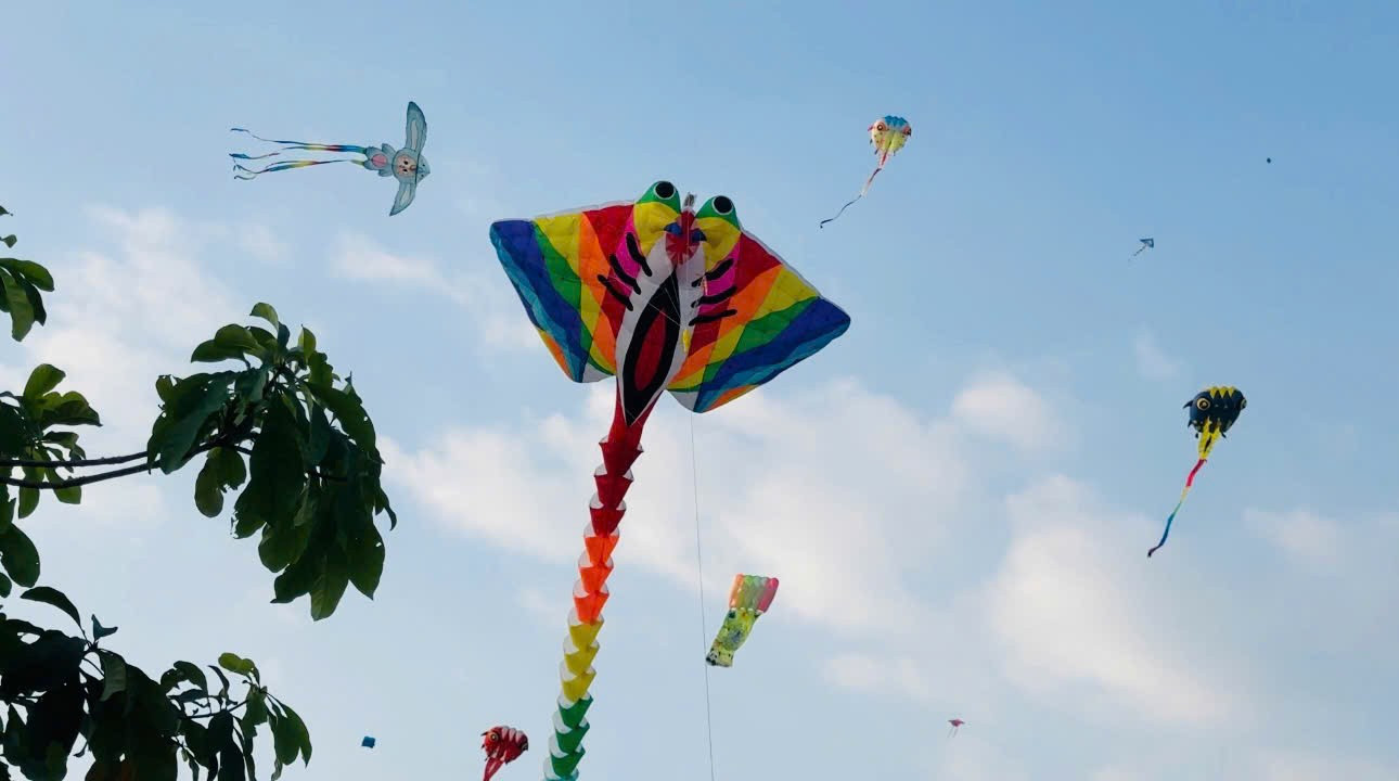 C&aacute;nh đồng diều Thủ Thi&ecirc;m v&agrave;o m&ugrave;a 'h&uacute;t' giới trẻ- Ảnh 10.