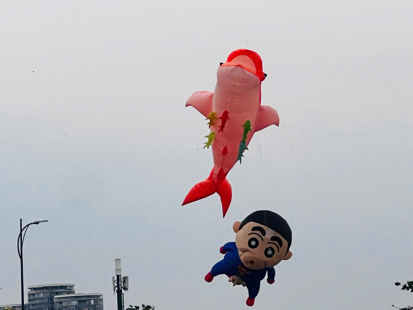 C&aacute;nh đồng diều Thủ Thi&ecirc;m v&agrave;o m&ugrave;a 'h&uacute;t' giới trẻ- Ảnh 8.