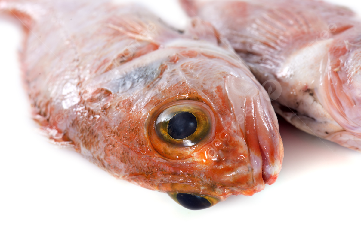 Loại c&aacute; b&igrave;nh d&acirc;n "bổ ngang" c&aacute; hồi, cực nhiều ở chợ Việt, ai cũng c&oacute; thể mua- Ảnh 2.