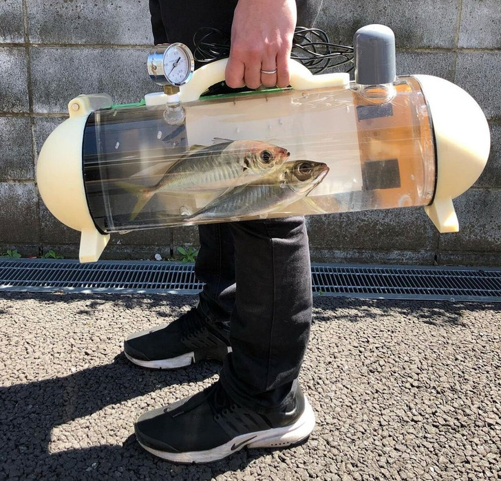 13 bức ảnh chứng minh Nhật Bản kh&ocirc;ng thuộc h&agrave;nh tinh n&agrave;y- Ảnh 1.