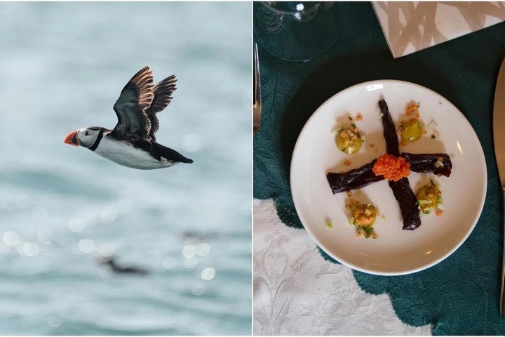 10 m&oacute;n ăn 'kinh dị' nhất thế giới, nhiều người nghe l&agrave; r&ugrave;ng m&igrave;nh- Ảnh 2.