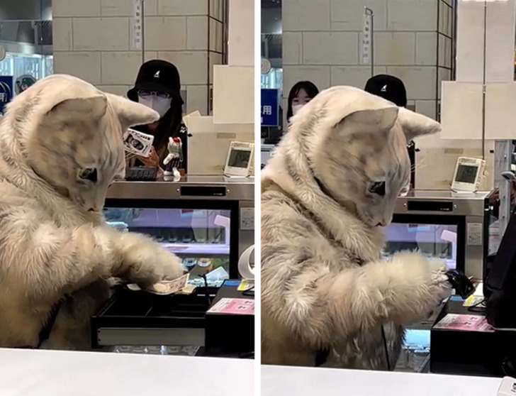 13 bức ảnh chứng minh Nhật Bản kh&ocirc;ng thuộc h&agrave;nh tinh n&agrave;y- Ảnh 2.