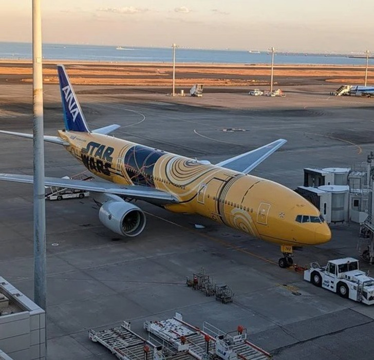 13 bức ảnh chứng minh Nhật Bản kh&ocirc;ng thuộc h&agrave;nh tinh n&agrave;y- Ảnh 4.