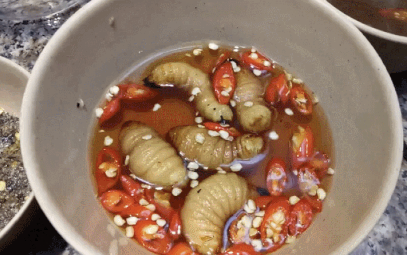 B&aacute;o ch&iacute; quốc tế n&oacute;i về m&oacute;n ăn "ngọ nguậy" của Việt Nam- Ảnh 3.