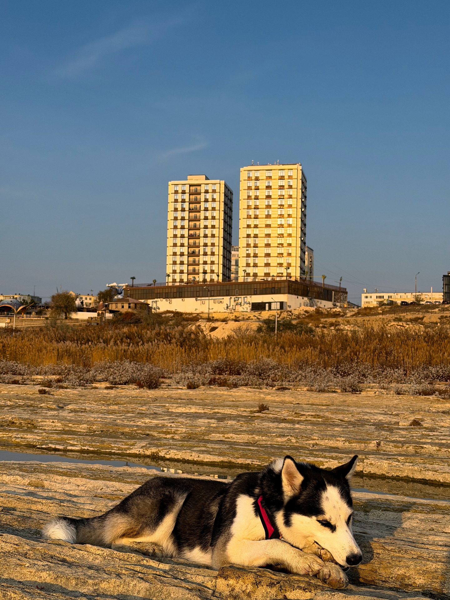 Khách Tây đi bộ xuyên lục địa nổi tiếng thế giới, giữa đường bất ngờ book vé máy bay đến Việt Nam: Lý do cảm động- Ảnh 6. Khách Tây đi bộ xuyên lục địa nổi tiếng thế giới, giữa đường bất ngờ book vé máy bay đến Việt Nam: Lý do cảm động- Ảnh 6.