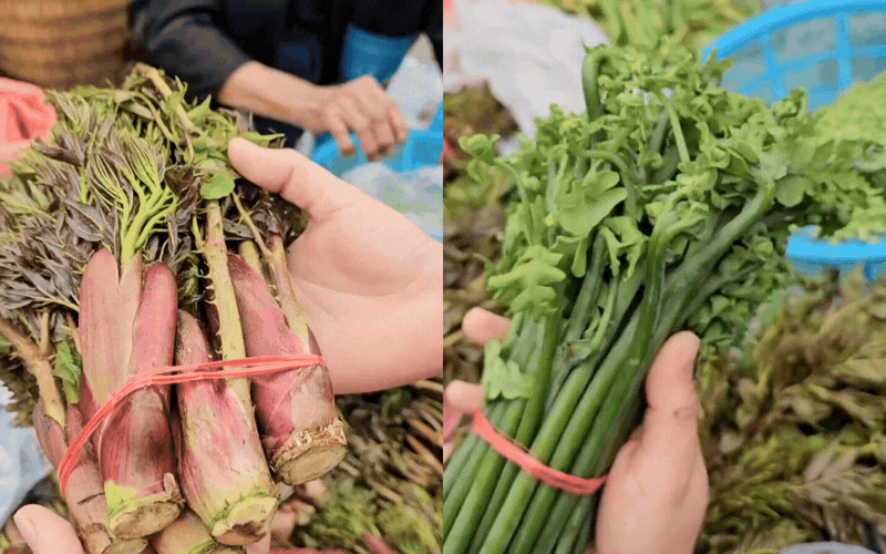 Thứ rau đặc sản lạ l&ugrave;ng ở chợ phi&ecirc;n Y T&yacute;: Ngoại h&igrave;nh "từ chối hiểu" nhưng x&agrave;o tỏi lại si&ecirc;u ngon, lỡ dịp l&agrave; m&ograve;n mỏi đợi sang năm- Ảnh 14.