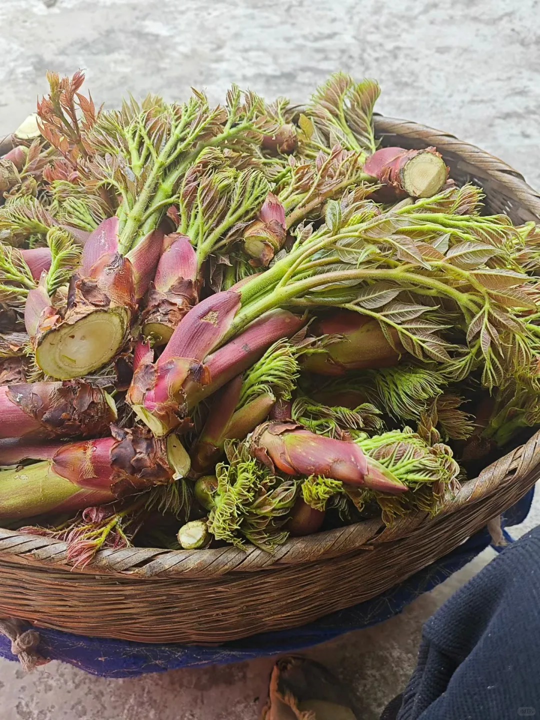 Thứ rau đặc sản lạ l&ugrave;ng ở chợ phi&ecirc;n Y T&yacute;: Ngoại h&igrave;nh "từ chối hiểu" nhưng x&agrave;o tỏi lại si&ecirc;u ngon, lỡ dịp l&agrave; m&ograve;n mỏi đợi sang năm- Ảnh 6.