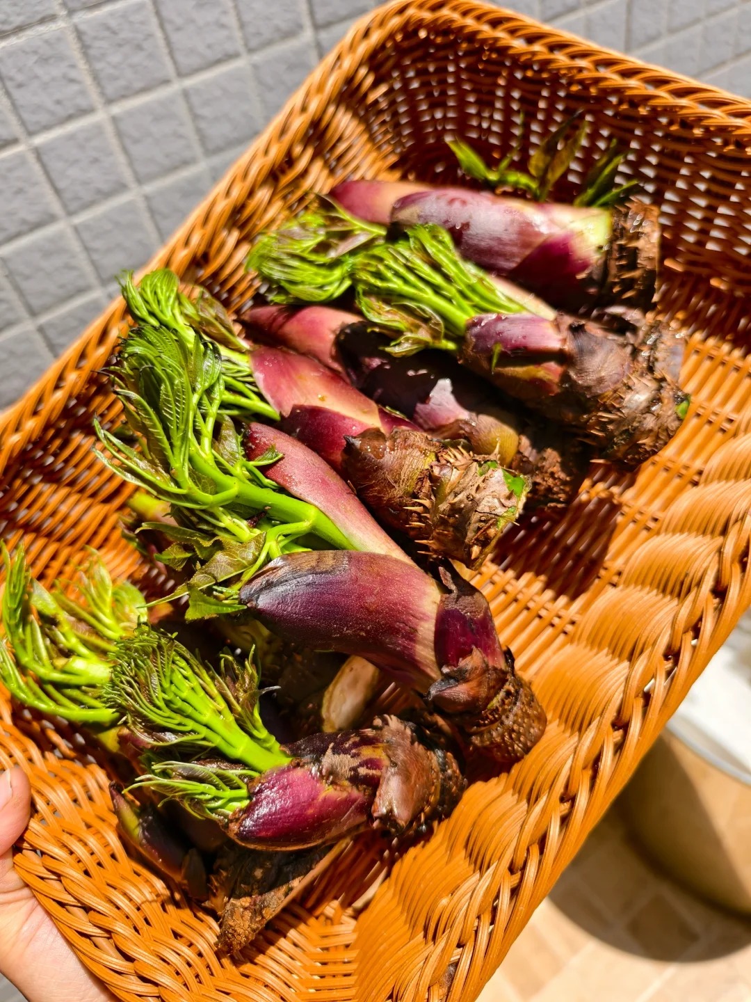 Thứ rau đặc sản lạ l&ugrave;ng ở chợ phi&ecirc;n Y T&yacute;: Ngoại h&igrave;nh "từ chối hiểu" nhưng x&agrave;o tỏi lại si&ecirc;u ngon, lỡ dịp l&agrave; m&ograve;n mỏi đợi sang năm- Ảnh 9.