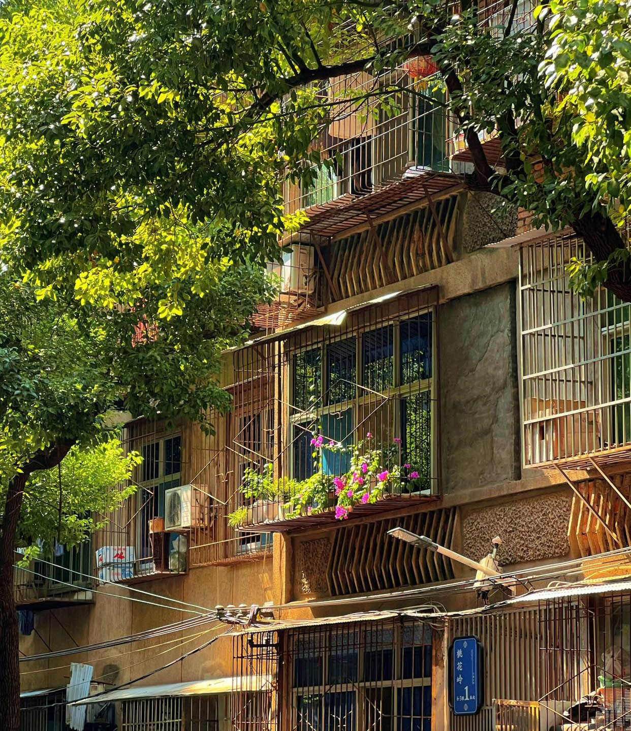 T&ocirc;i rời căn hộ 200m&sup2; ai cũng khen để về nh&agrave; cũ: 6 th&aacute;ng sau mới hiểu thế n&agrave;o l&agrave; sống dễ thở- Ảnh 5.