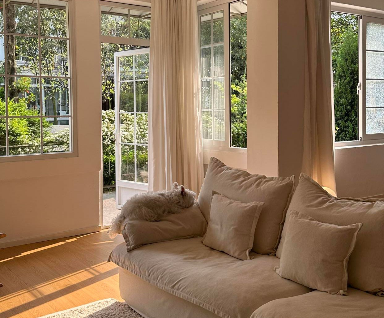 T&ocirc;i rời căn hộ 200m&sup2; ai cũng khen để về nh&agrave; cũ: 6 th&aacute;ng sau mới hiểu thế n&agrave;o l&agrave; sống dễ thở- Ảnh 7.