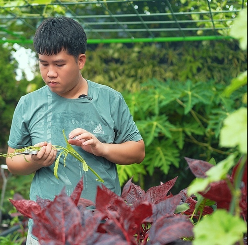 Cận cảnh khu vườn "trong mơ", được đầu tư hơn 3 tỷ đồng tr&ecirc;n s&acirc;n thượng tầng 30 tại Hưng Y&ecirc;n- Ảnh 2.