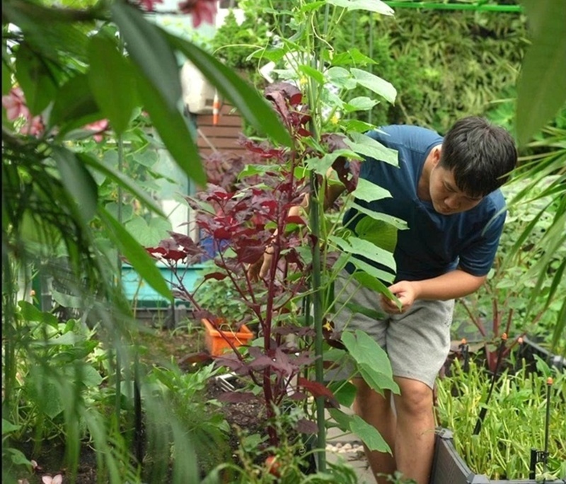 Cận cảnh khu vườn "trong mơ", được đầu tư hơn 3 tỷ đồng tr&ecirc;n s&acirc;n thượng tầng 30 tại Hưng Y&ecirc;n- Ảnh 3.