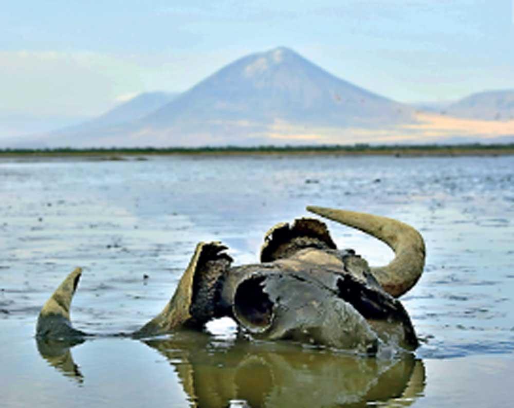 B&iacute; ẩn hồ nước biến mọi sinh vật th&agrave;nh tượng đ&aacute; ngay khi chạm v&agrave;o- Ảnh 1.