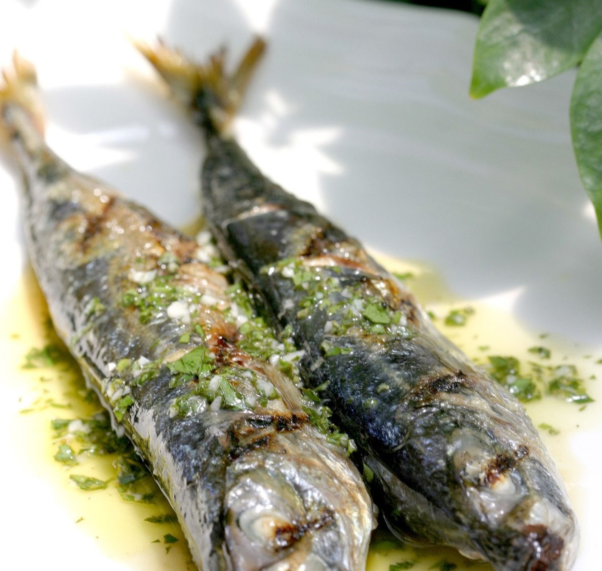 Loại c&aacute; gi&agrave;u đạm, DHA gấp 3 lần c&aacute; hồi nhưng gi&aacute; rẻ kh&ocirc;ng bằng một nửa: Chợ Việt b&aacute;n đầy- Ảnh 4.