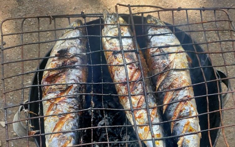 Loại c&aacute; gi&agrave;u đạm, DHA gấp 3 lần c&aacute; hồi nhưng gi&aacute; rẻ kh&ocirc;ng bằng một nửa: Chợ Việt b&aacute;n đầy