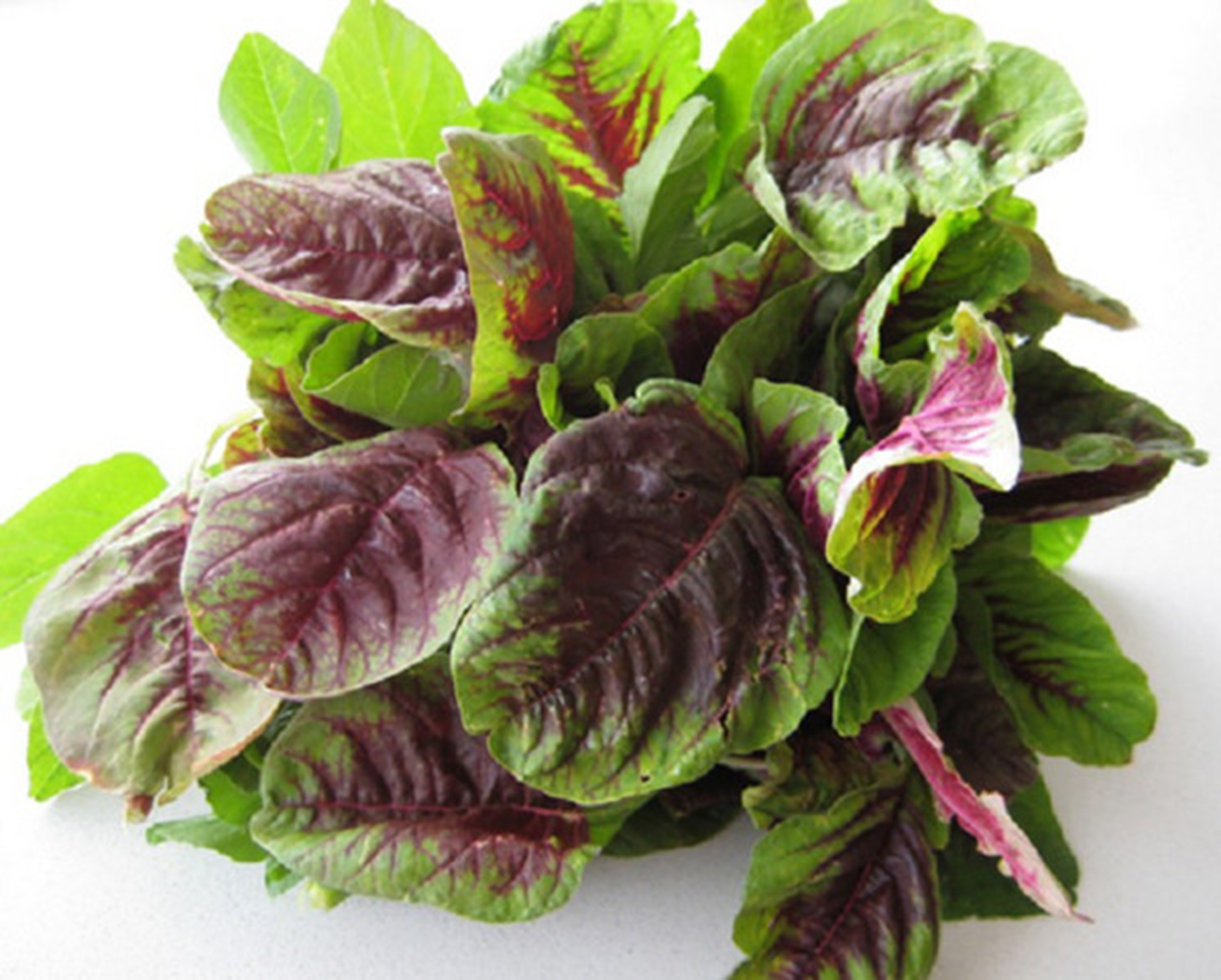 Loại rau bổ ngang thịt b&ograve;, ở trời T&acirc;y được qu&yacute; như &ldquo;v&agrave;ng&rdquo;, n&agrave;o ngờ chợ Việt lại b&aacute;n đầy- Ảnh 3.