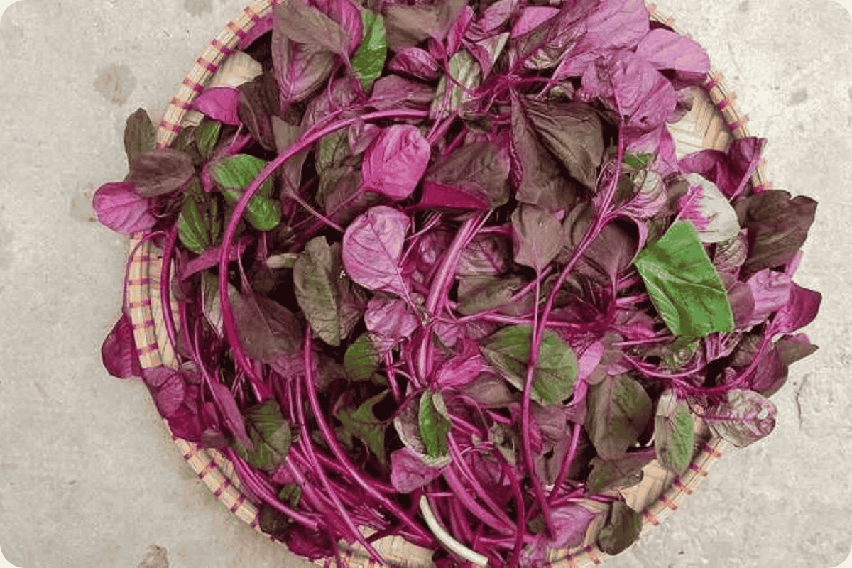 Loại rau bổ ngang thịt b&ograve;, ở trời T&acirc;y được qu&yacute; như &ldquo;v&agrave;ng&rdquo;, n&agrave;o ngờ chợ Việt lại b&aacute;n đầy- Ảnh 1.