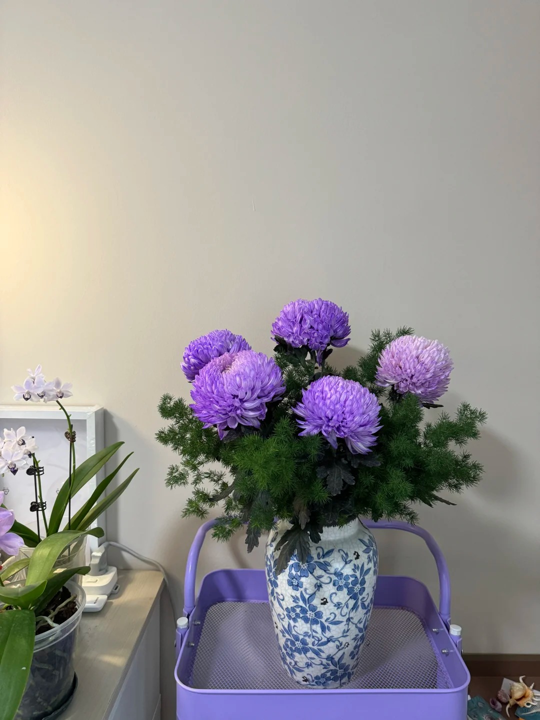 Say đắm c&uacute;c mẫu đơn t&iacute;m nhưng sợ cắm l&ecirc;n bị gi&agrave;? Đừng vội mua nếu chưa biết b&iacute; mật về "m&ugrave;a hoa đẹp nhất" n&agrave;y!- Ảnh 3.