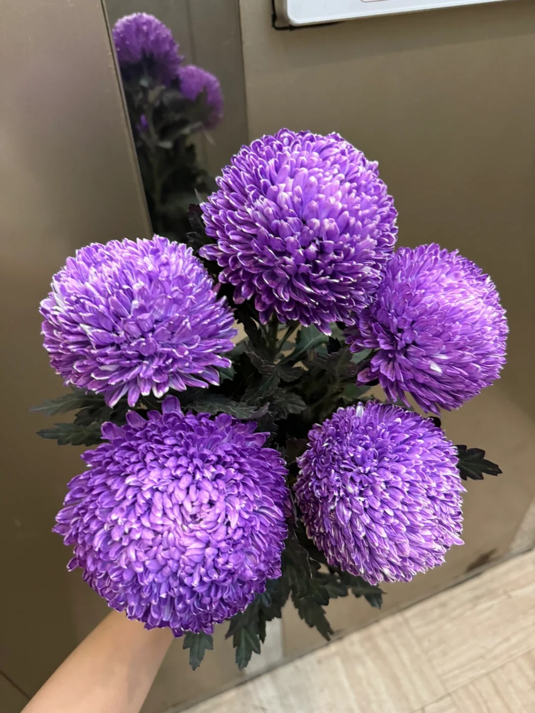 Say đắm c&uacute;c mẫu đơn t&iacute;m nhưng sợ cắm l&ecirc;n bị gi&agrave;? Đừng vội mua nếu chưa biết b&iacute; mật về "m&ugrave;a hoa đẹp nhất" n&agrave;y!- Ảnh 19.