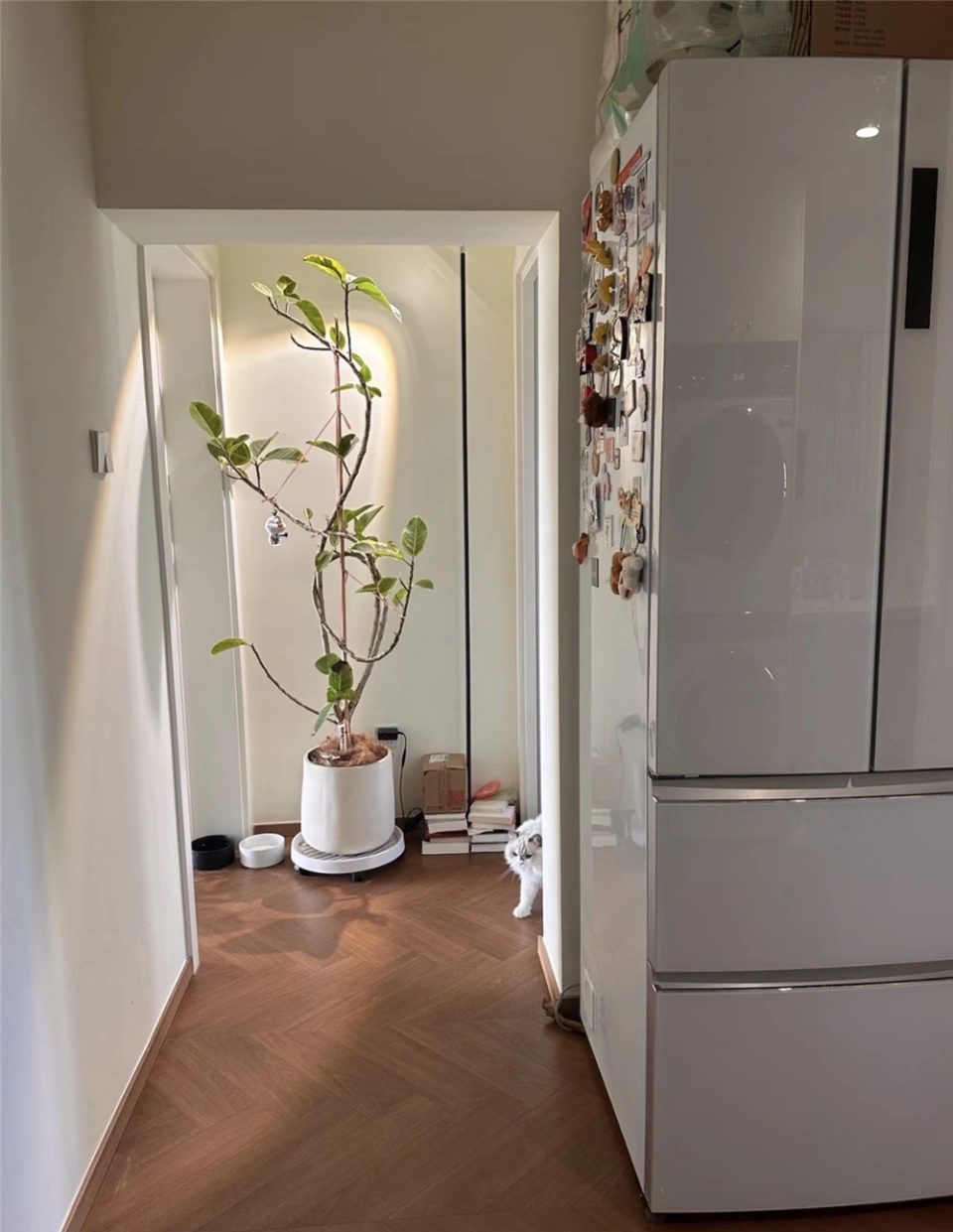 1 thanh ni&ecirc;n cải tạo căn hộ "c&aacute;n dao" th&agrave;nh tổ ấm nghệ như ảnh Pinterest, g&oacute;c n&agrave;o cũng đ&aacute;ng ngắm- Ảnh 5.