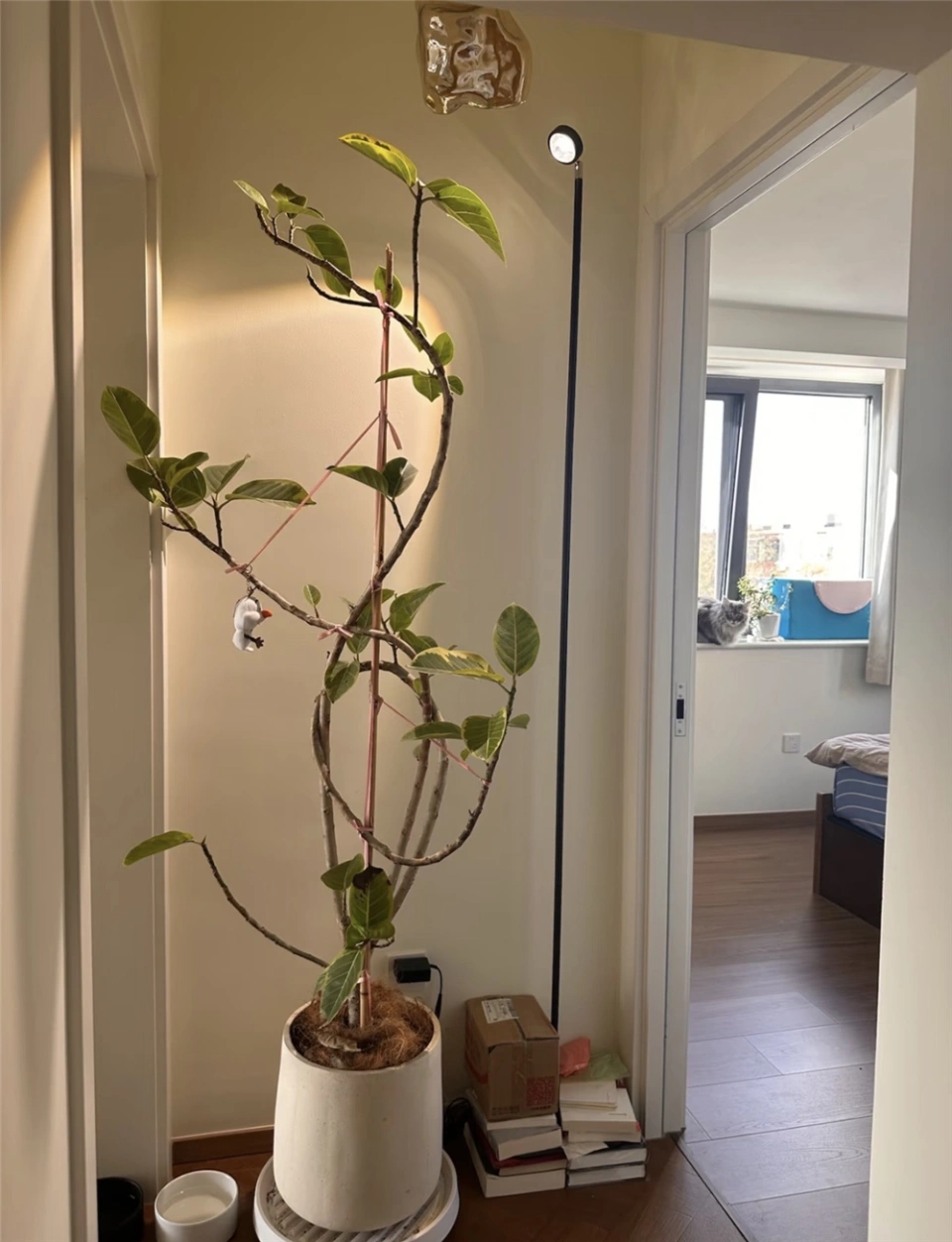 1 thanh ni&ecirc;n cải tạo căn hộ "c&aacute;n dao" th&agrave;nh tổ ấm nghệ như ảnh Pinterest, g&oacute;c n&agrave;o cũng đ&aacute;ng ngắm- Ảnh 6.