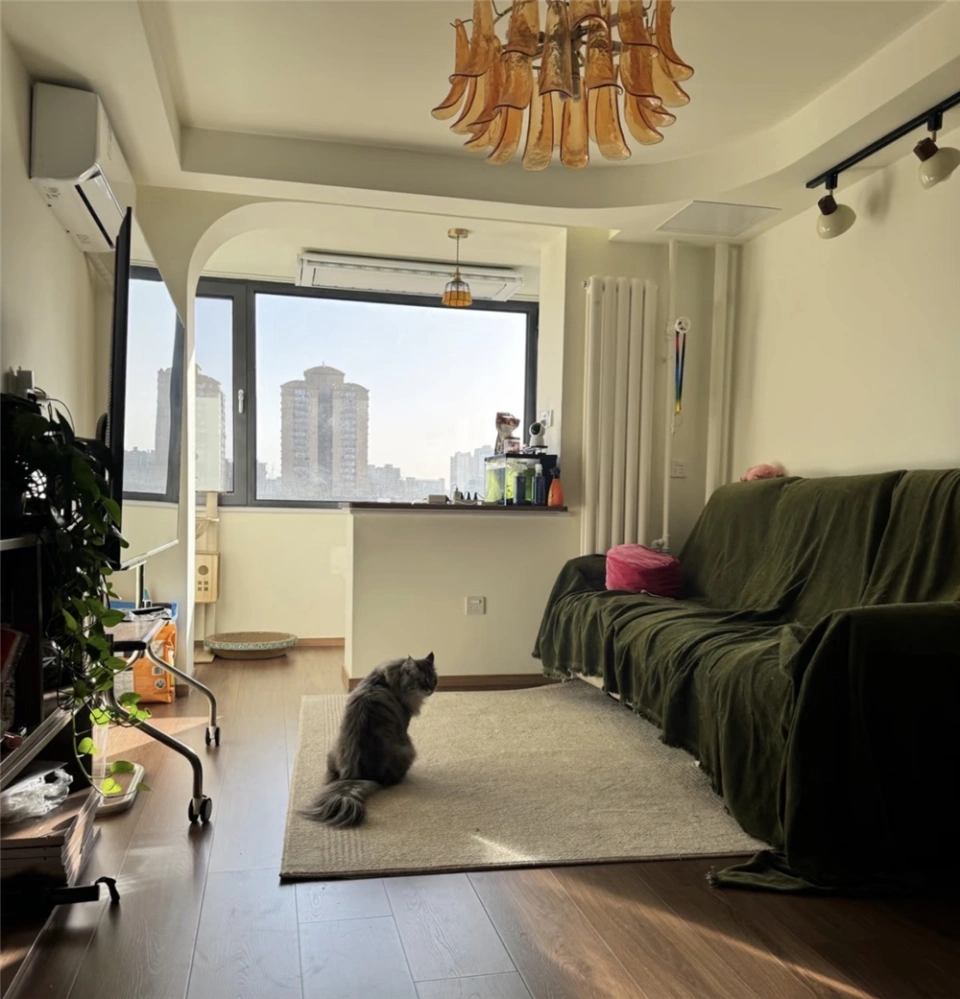 1 thanh ni&ecirc;n cải tạo căn hộ "c&aacute;n dao" th&agrave;nh tổ ấm nghệ như ảnh Pinterest, g&oacute;c n&agrave;o cũng đ&aacute;ng ngắm- Ảnh 8.