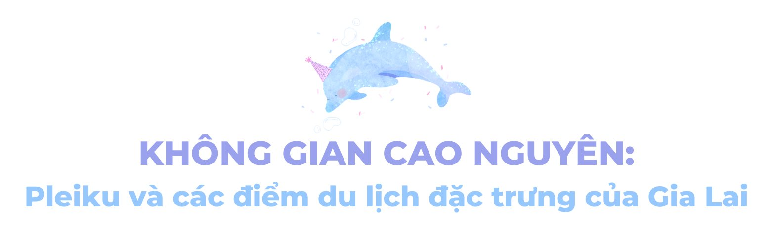 Một tỉnh vừa c&oacute; biển, vừa c&oacute; rừng trở th&agrave;nh &ldquo;vi&ecirc;n ngọc qu&yacute;&rdquo; mới của du lịch Việt: Sở hữu đến 2 s&acirc;n bay, dịp Tết đ&oacute;n gần 850.000 lượt kh&aacute;ch- Ảnh 7.