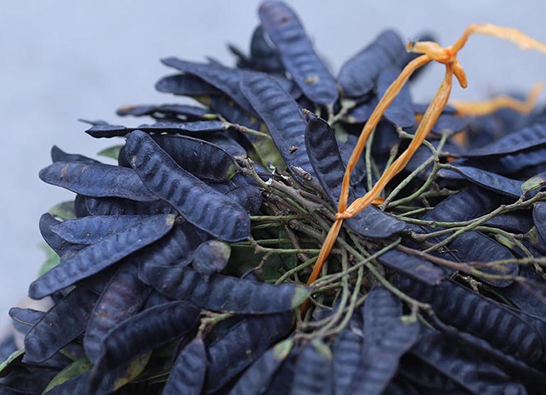 Đốt bồ kết đem lại những lợi &iacute;ch g&igrave;?- Ảnh 1.