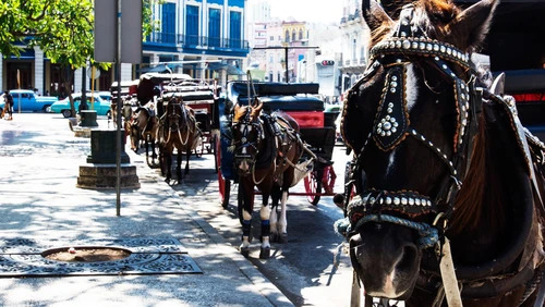 Cạn sạch xăng, đường phố Cuba xuất hiện cảnh như 'xuy&ecirc;n kh&ocirc;ng': Người d&acirc;n phải d&ugrave;ng thứ tưởng đ&atilde; lỗi thời- Ảnh 1.