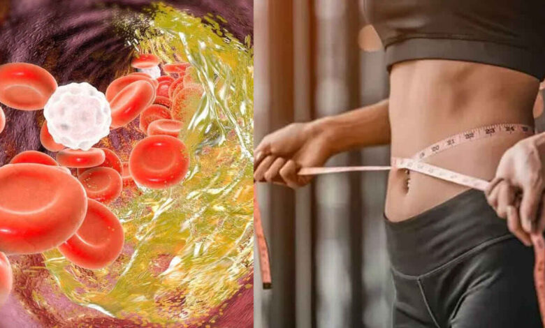 Gầy nhưng mỡ m&aacute;u vẫn cao v&uacute;t: Kh&ocirc;ng hề v&ocirc; l&yacute;, "thủ phạm" ch&iacute;nh l&agrave; đ&acirc;y- Ảnh 1.