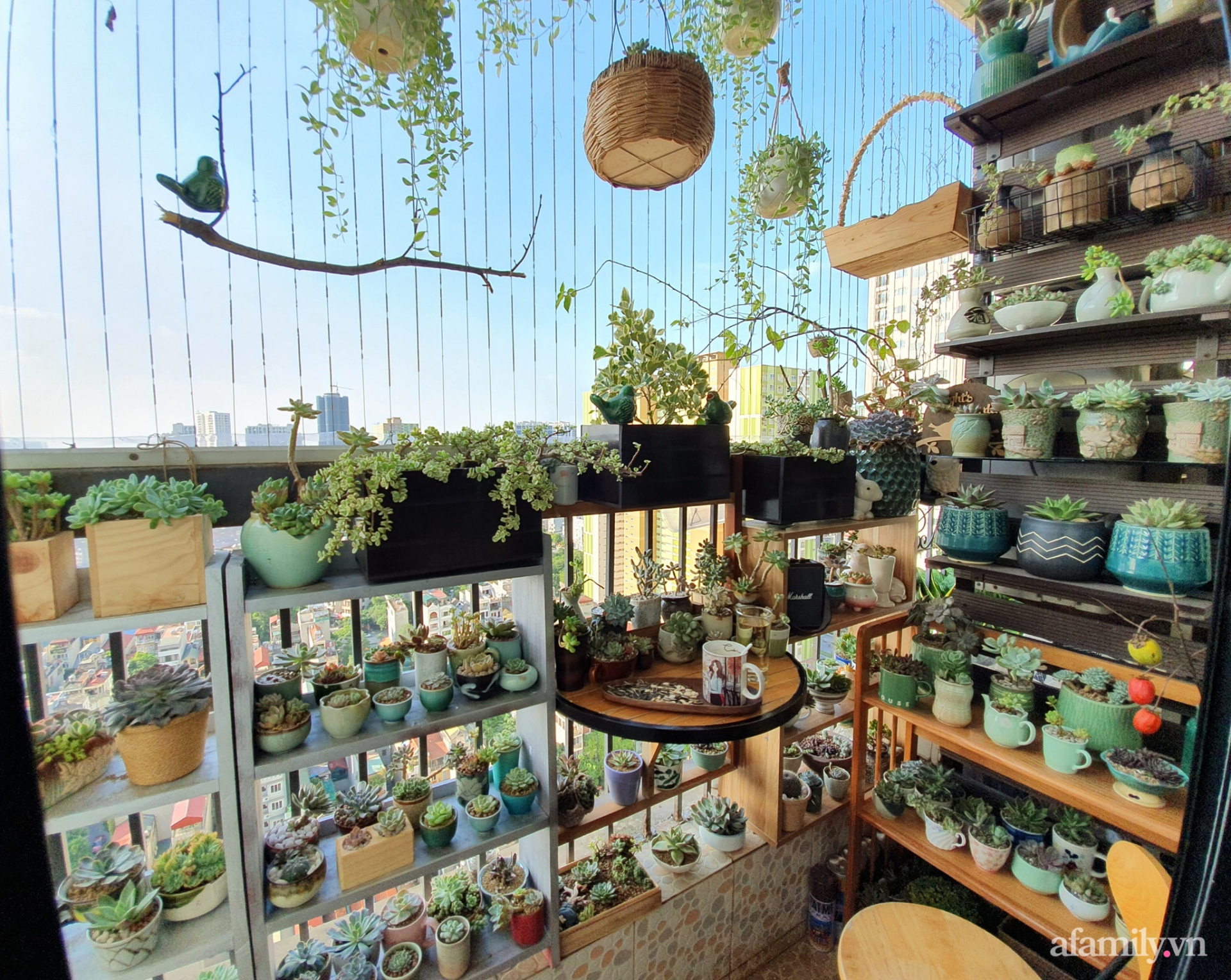 5 loại c&acirc;y &ldquo;ch&acirc;n &aacute;i&rdquo; cho ban c&ocirc;ng: đẹp, dễ trồng, phong thuỷ cực tốt- Ảnh 4.