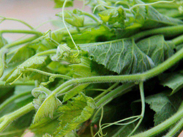 4 loại rau ở Việt Nam l&agrave; &ldquo;kho sắt xanh&rdquo;, bổ m&aacute;u hơn cả thịt b&ograve;: Top 1 tốt cho cả tim v&agrave; dạ d&agrave;y, nhiều người ch&ecirc; kh&ocirc;ng ăn- Ảnh 2.