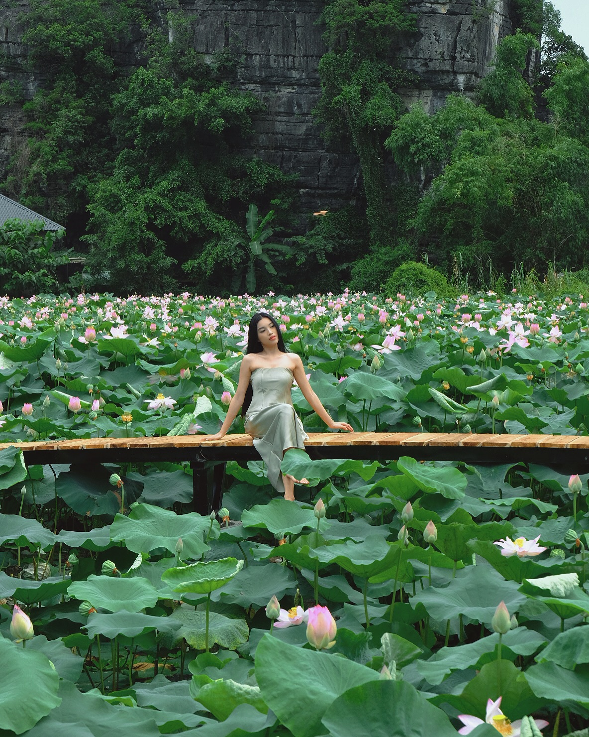 Từ 1/4, hàng triệu khách Việt chính thức áp dụng phí tham quan mới tại điểm du lịch đắt khách bậc nhất miền Bắc- Ảnh 2. Từ 1/4, hàng triệu khách Việt chính thức áp dụng phí tham quan mới tại điểm du lịch đắt khách bậc nhất miền Bắc- Ảnh 2.