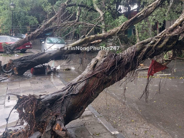 C&acirc;y xanh bật gốc đ&egrave; tr&uacute;ng người đi xe m&aacute;y ở H&agrave; Nội- Ảnh 3.