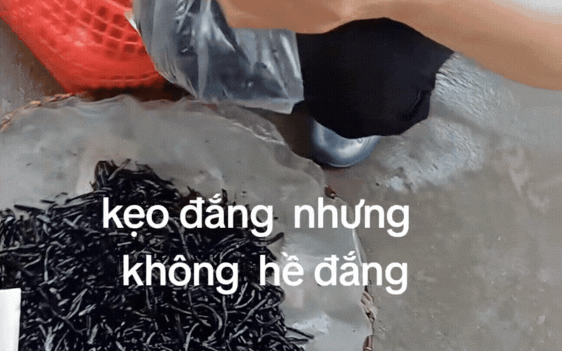 Thứ kẹo "đắng ngo&eacute;t" 200 đồng từng đ&aacute;nh lừa bao đứa trẻ qu&ecirc;: 8x, 9x cay kh&oacute;e mắt nhớ về nồi thịt, c&aacute; kho đượm m&ugrave;i kh&oacute;i bếp của mẹ- Ảnh 5.