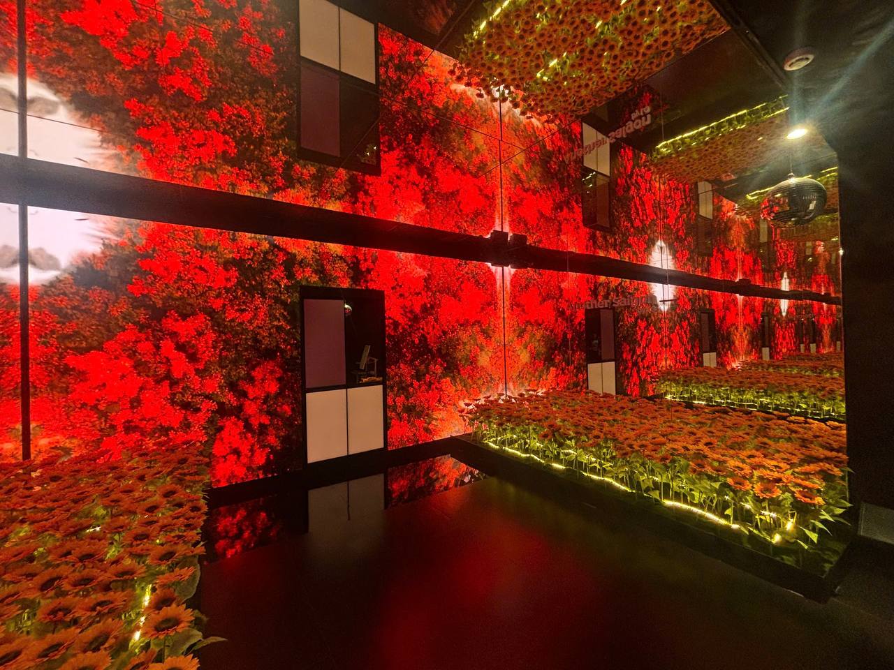 Xuất hiện to&agrave; nh&agrave; mới chỉ d&agrave;nh ri&ecirc;ng cho giới trẻ ngay trung t&acirc;m TP.HCM, c&oacute; cả test Personal Color v&agrave; nghe nhạc lu&ocirc;n tr&ecirc;n m&acirc;y!- Ảnh 13.